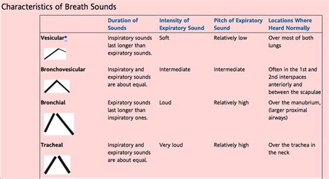 And to answer your question regarding. Bronchial Breath Sounds Pictures to Pin on Pinterest ...