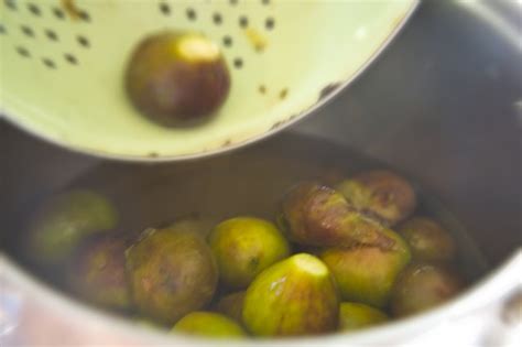 How To Preserve Fresh Figs Leaftv