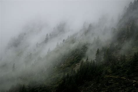 Foggy Landscape Mist · Free Photo On Pixabay