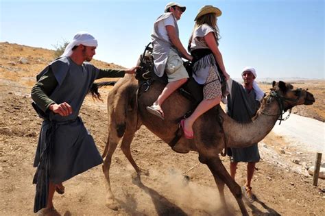 Camel Ride And Desert Activities In The Judean Desert Israel Stock