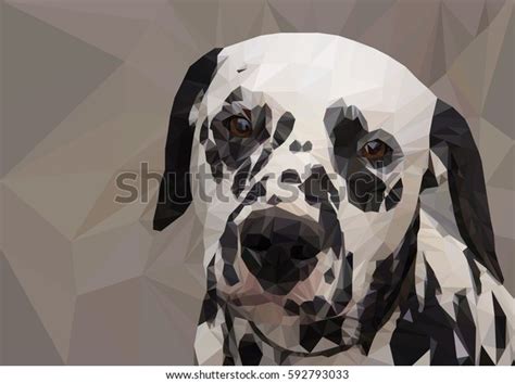 Dog Breed Dalmatian Stock Vector Royalty Free 592793033