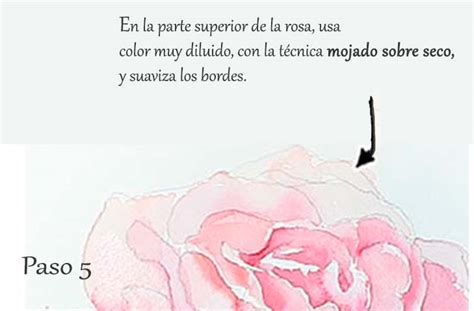Cómo Pintar Una Rosa En Acuarela 👩‍🎨🌹pintar Con Acuarelas
