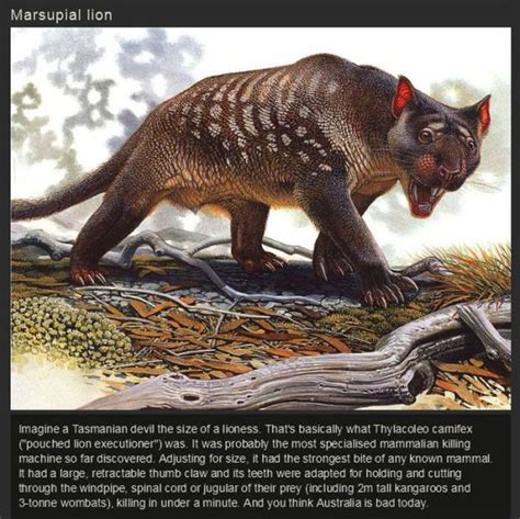 Scary Ancient Animals We Are Glad Are Now Extinct 15 Pics