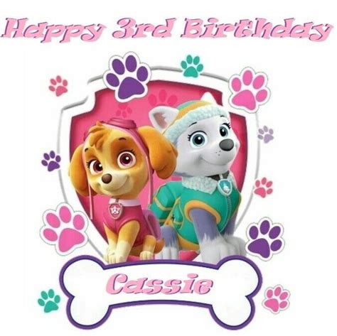 Paw Patrol Skye And Everest Party Edible Image Cake Topper Decoration