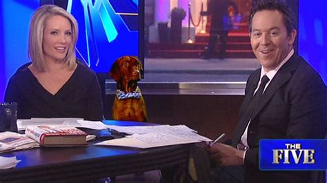 Dana Perino Brings Special Guest Onto The Five Set Latest News