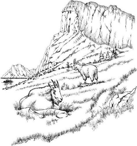 Pictures of mountain scenery coloring pages and many more. Rocky Mountain Coloring Pages | Adult coloring pages ...