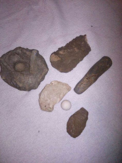 Shell Tempered Pottery From Bottle Creek Site All Things Alabama