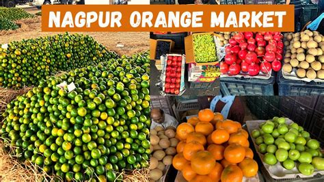 Nagpur Orange Market Wholesale Santra Market Nagpur Kalamna Fruit