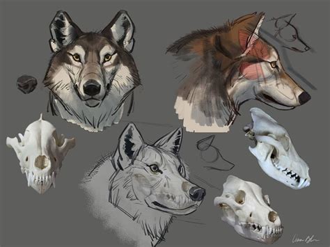 Pin By Rainsong777 On Character Design Animal Drawings Drawings