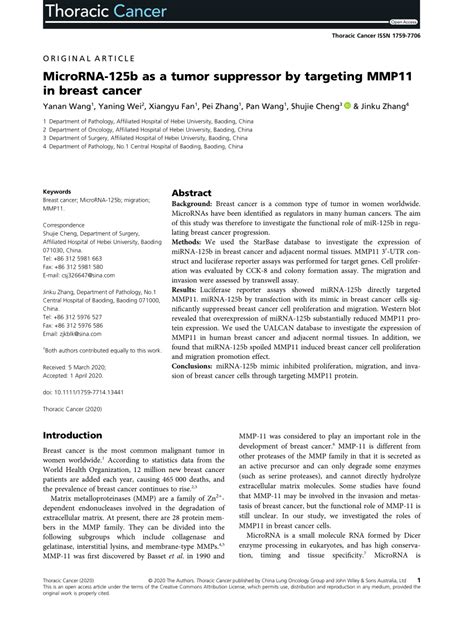 pdf microrna 125b as a tumor suppressor by targeting mmp11 in breast cancer microrna 125b