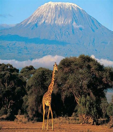 Mount Kilimanjaro Travel Pedia Kilimandscharo Tansania Afrika