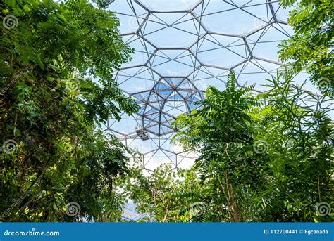 Tropical Rainforest Vegetation Inside The Eden Project Bio Dome