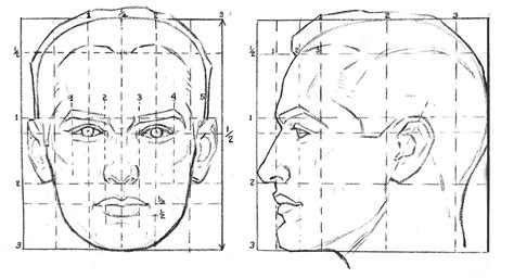 Proporción Cabeza Face Proportions Face Proportions Drawing Facial