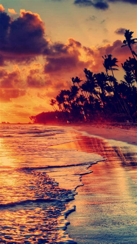 Nature Fire Sunset Beach Iphone 8 Wallpaper Download Iphone