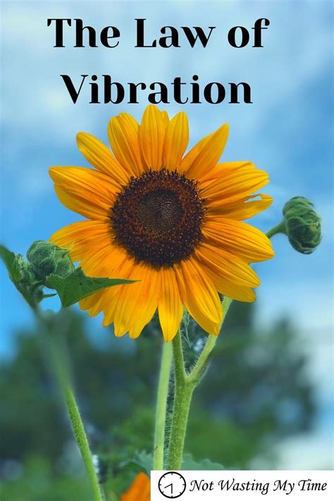 The Law Of Vibration Proves That Each And Every One Of Us Are Basically Towers Of Energy That
