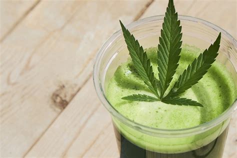 Everything You Need To Know About Cannabis Infused Drinks Drinksfeed