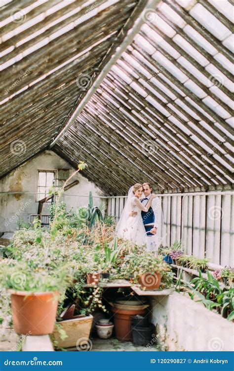 Hugging Newlywed Couple Is Spending Time In The Greenhouse Stock Image
