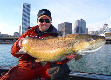 Current information for lake michigan: International Fishing News: USA: huge brown trouts on lake Michigan
