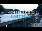 Collie Buddz - Blue Dreamz @ Boathouse Myrtle Beach - YouTube
