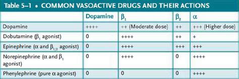 Vasoactive Drugs And Pharmacology Case File