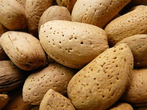 Free Download Hd Wallpaper Almonds Nuts Shell Food Bowl Almond