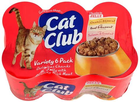 Cat Club In Jelly Pk Pet Connection