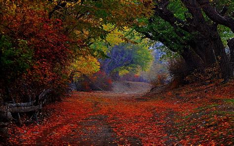 Hd Wallpaper Fantastic Autumn Landscape Scenery Hd Wallpaper Season