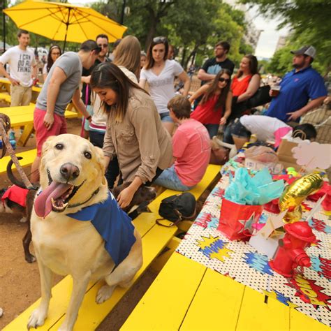 Mutts Canine Cantina Fort Worth