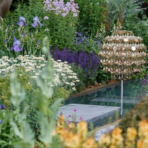 Photos Every Single Garden At Rhs Chelsea This Year Chelsea Flower