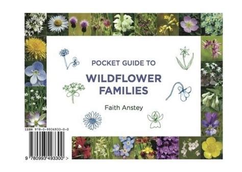 Pocket Guide To Wildflower Families From Summerfield Books