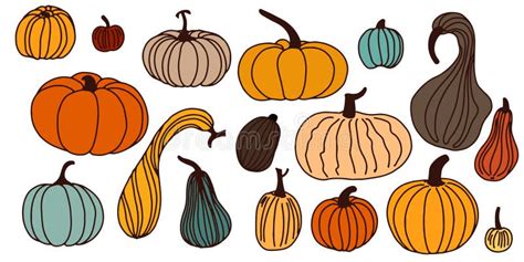 Set Of Color Illustrations With Pumpkins Of Different Shapes And