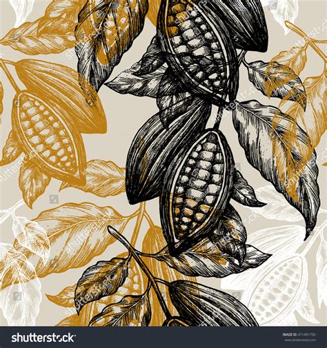 Cocoa Beans Seamless Pattern Cocoa Tree Stock Vector Royalty Free