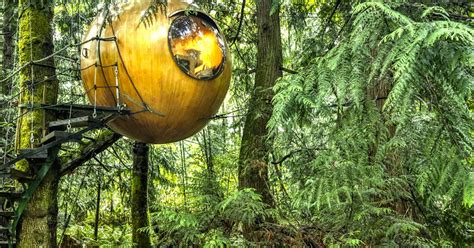 18 Amazing Treehouses We Want To Live In For The Rest Of Our Days Metro News