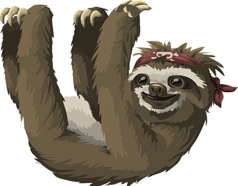 Cute Sloth Clipart Lovely Sloth Clipart Png Transparent Clipart