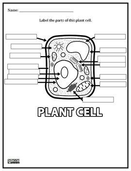 Maybe you would like to learn more about one of these? Plant Cell Worksheet (Homeschool Science) | Plant cell ...