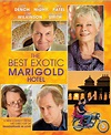 Mohammed Al-Qassimi's Movies: The Best Exotic Marigold Hotel 2012