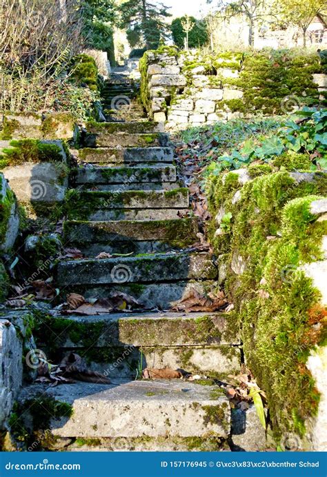Garden Staircase And Wall Made Of Natural Stones Full Of Moss 2 Stock