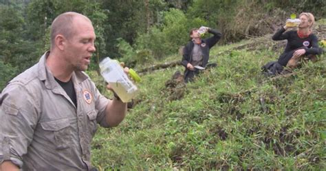 The Royal Wee Mike Tindall Drinks His Own Urine On Bear Grylls Survival Show Mirror Online