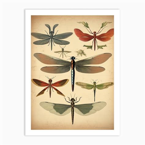 Dragonfly Geometric 1 Art Print By Dragonfly Dreams Fy