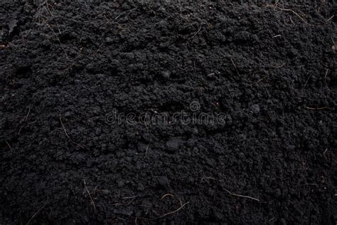 Black Soil Texture Background For Gardening Ideas Stock Photo Image