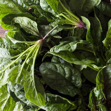 Amazing Health Benefits Of Spinach Spinach Health Benefits Spinach