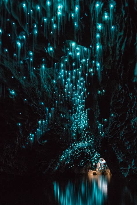 Waitomo Glow Worm Tours Waitomo Caves Discovery Centre