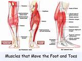Foot Muscle Strengthening
