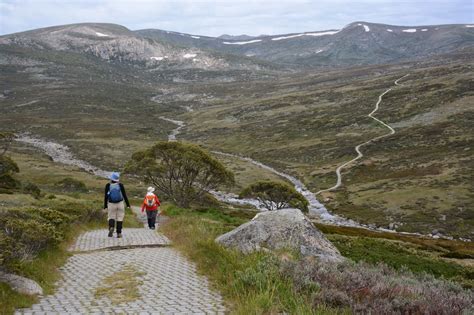 Walkabouters Club Of Victoria Inc Mount Kosciuszko The Top Of Australia