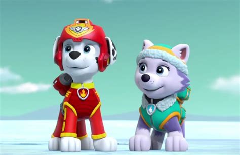 Marshall And Everest Paw Patrol Animated Couples Photo 40130991