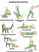 Hamstring Exercises Images