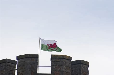 Free Stock Photo 7589 The Welsh Flag Freeimageslive
