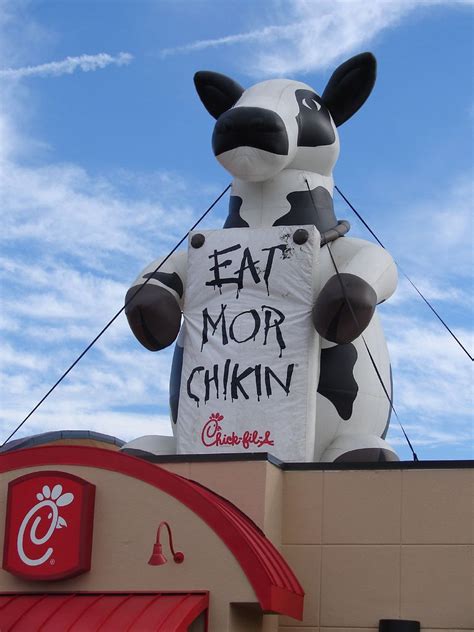 eat mor chikin the chick fil a cow my friend morgan has a… flickr