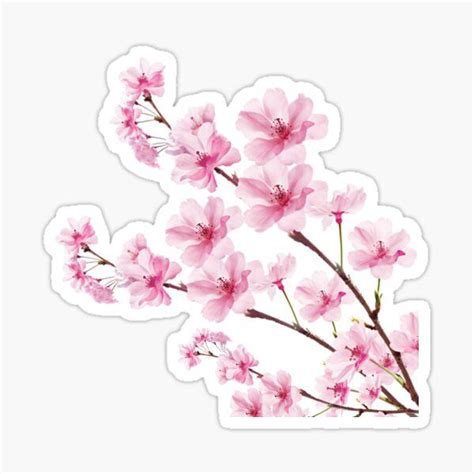 Sakura Cherry Blossom Sticker By Xing7 In 2021 Aesthetic Stickers