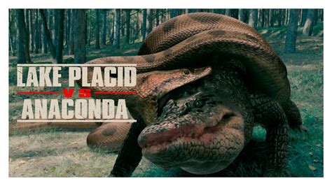 Actualizar 115 Imagen Anaconda Vs Cocodrilo Pelicula Completa